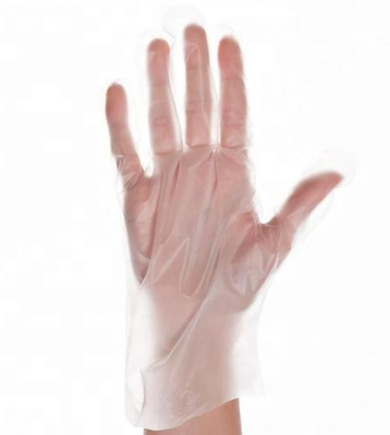 De Transparante Beschikbare TPE Handschoenen van de voedselrang voor Koffiepatisserieën